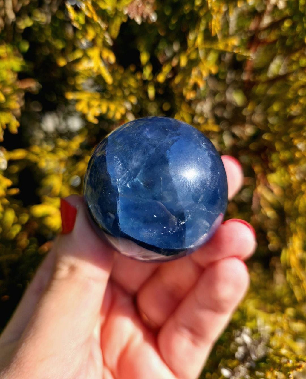 Polished blue fluorite sphere resting in hand against sunlit greenery, showcasing deep blue coloration with natural banding and cloudy inclusions. Bright outdoor lighting enhances clarity and color variation.
