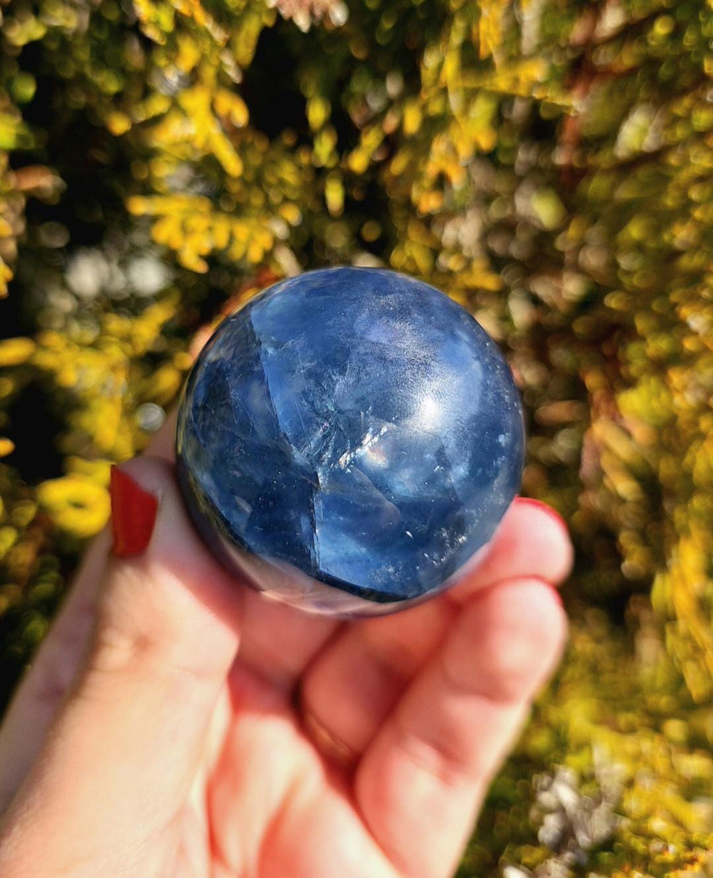 Polished blue fluorite sphere resting in hand against sunlit greenery, showcasing deep blue coloration with natural banding and cloudy inclusions. Bright outdoor lighting enhances clarity and color variation.