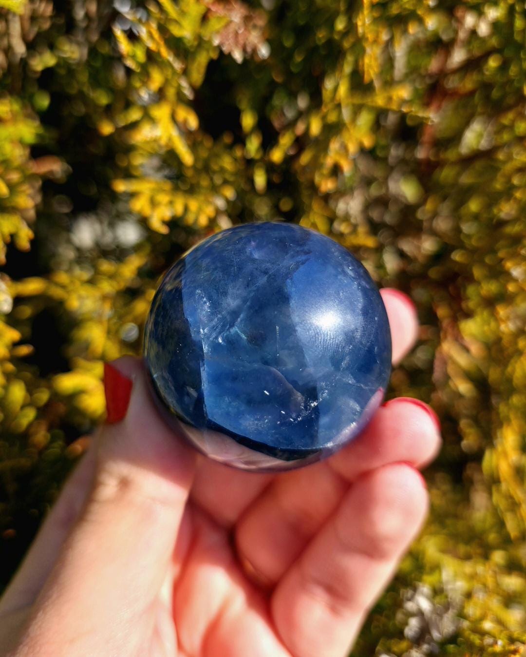Polished blue fluorite sphere resting in hand against sunlit greenery, showcasing deep blue coloration with natural banding and cloudy inclusions. Bright outdoor lighting enhances clarity and color variation.