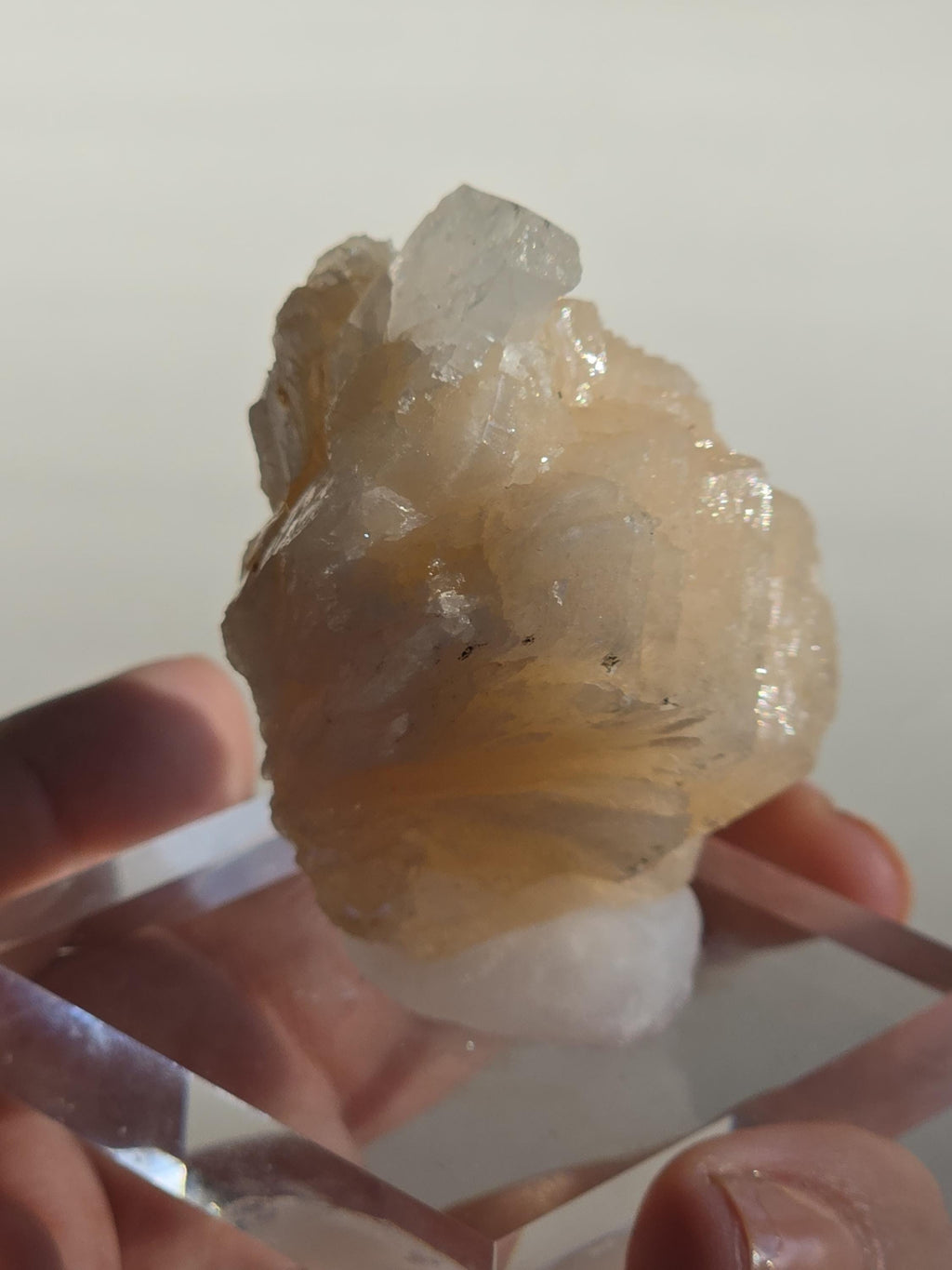 Stilbite Cluster with Apophyllite | Natural Zeolite Crystal Specimen | Collector Mineral Display Decor Gift