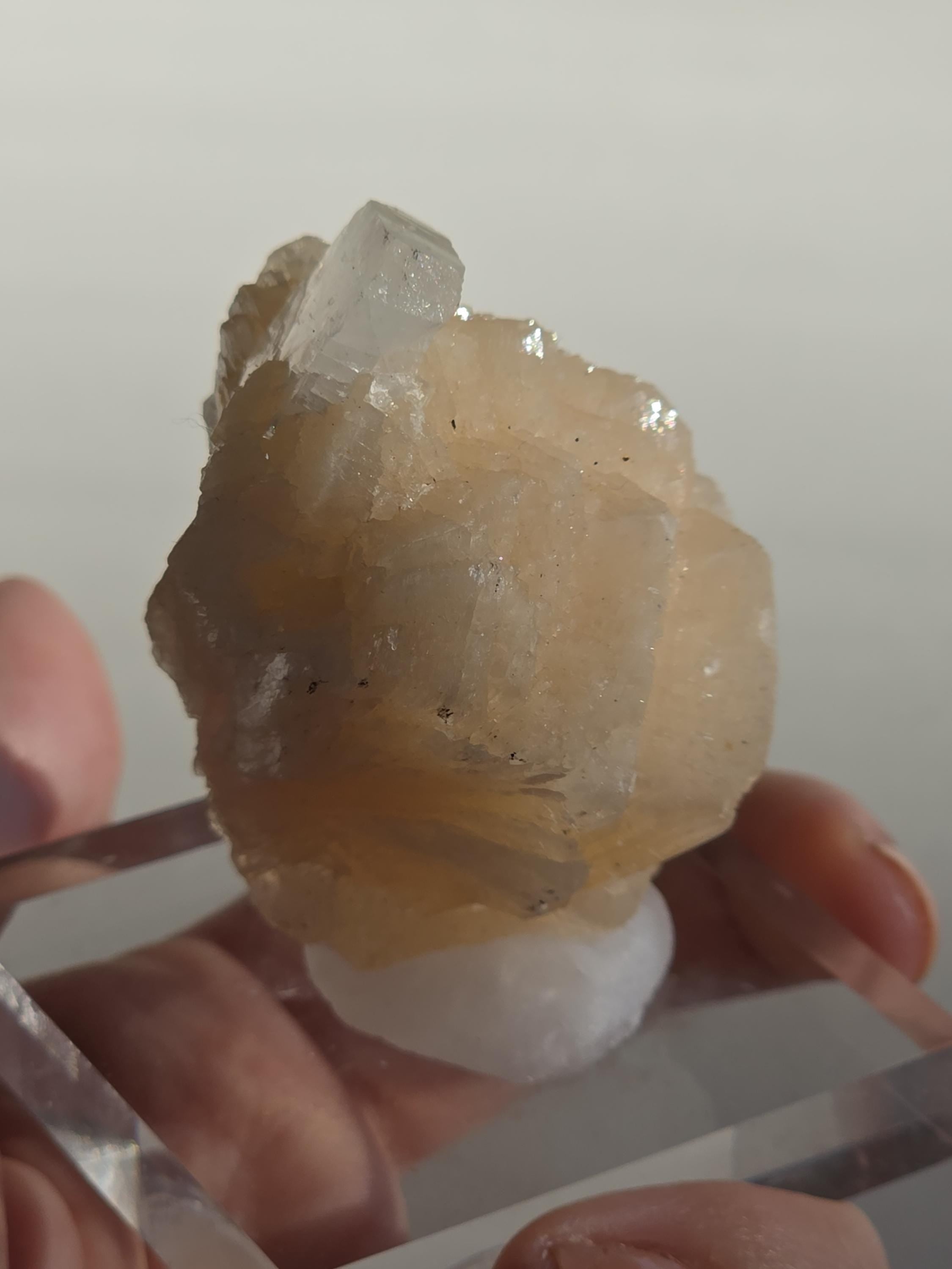 Stilbite Cluster with Apophyllite | Natural Zeolite Crystal Specimen | Collector Mineral Display Decor Gift