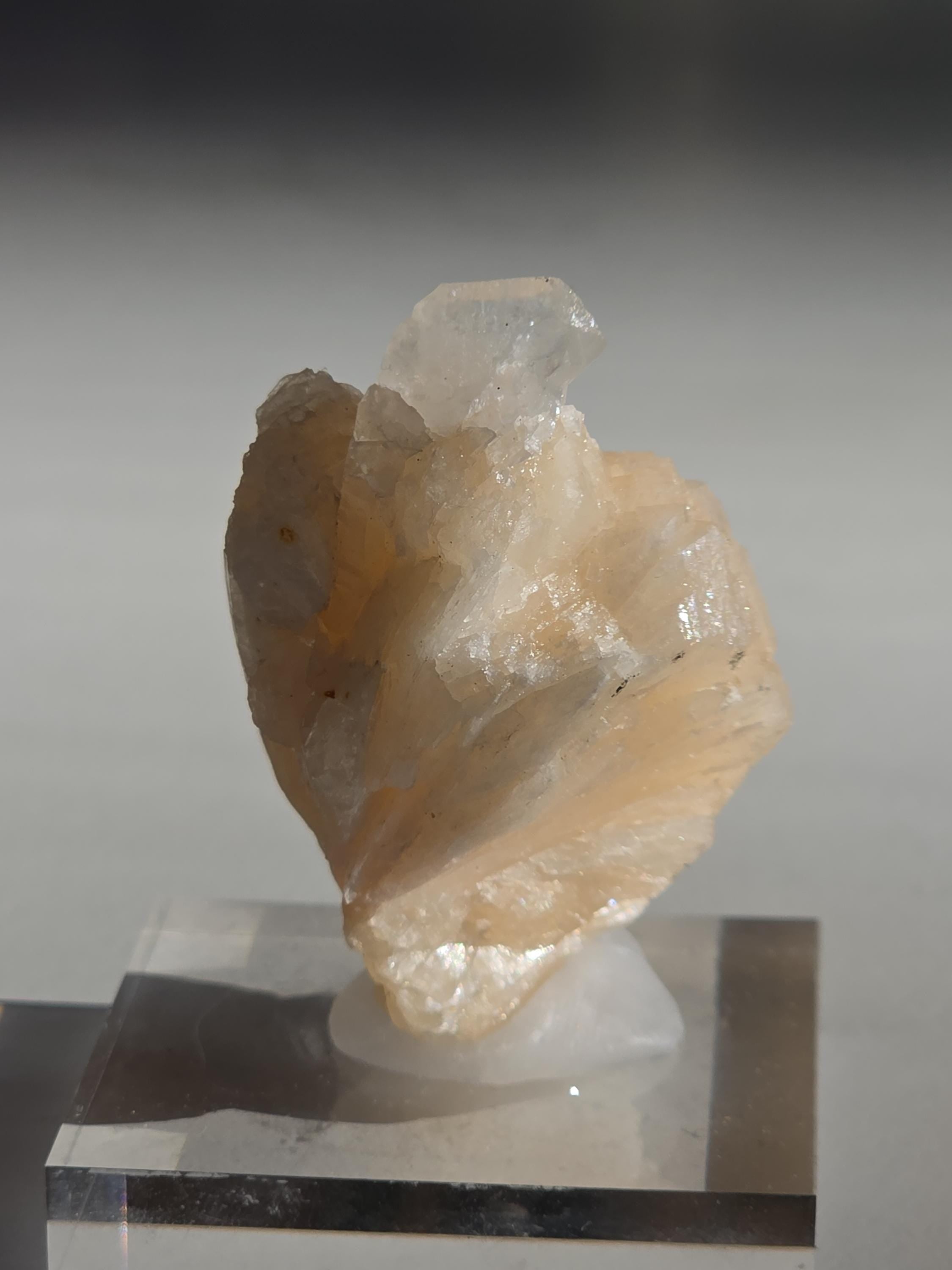 Stilbite Cluster with Apophyllite | Natural Zeolite Crystal Specimen | Collector Mineral Display Decor Gift