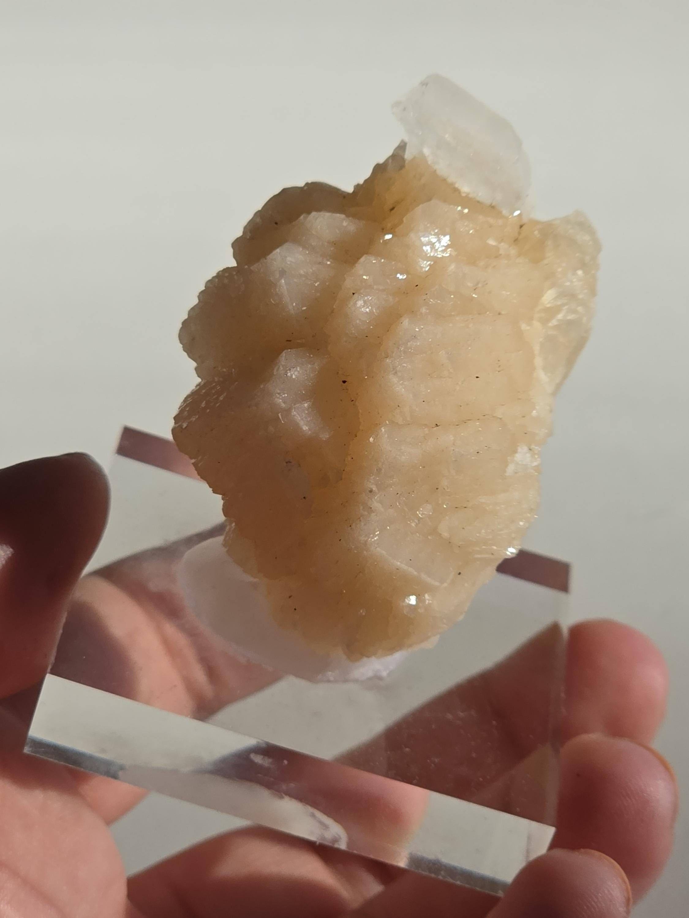 Stilbite Cluster with Apophyllite | Natural Zeolite Crystal Specimen | Collector Mineral Display Decor Gift