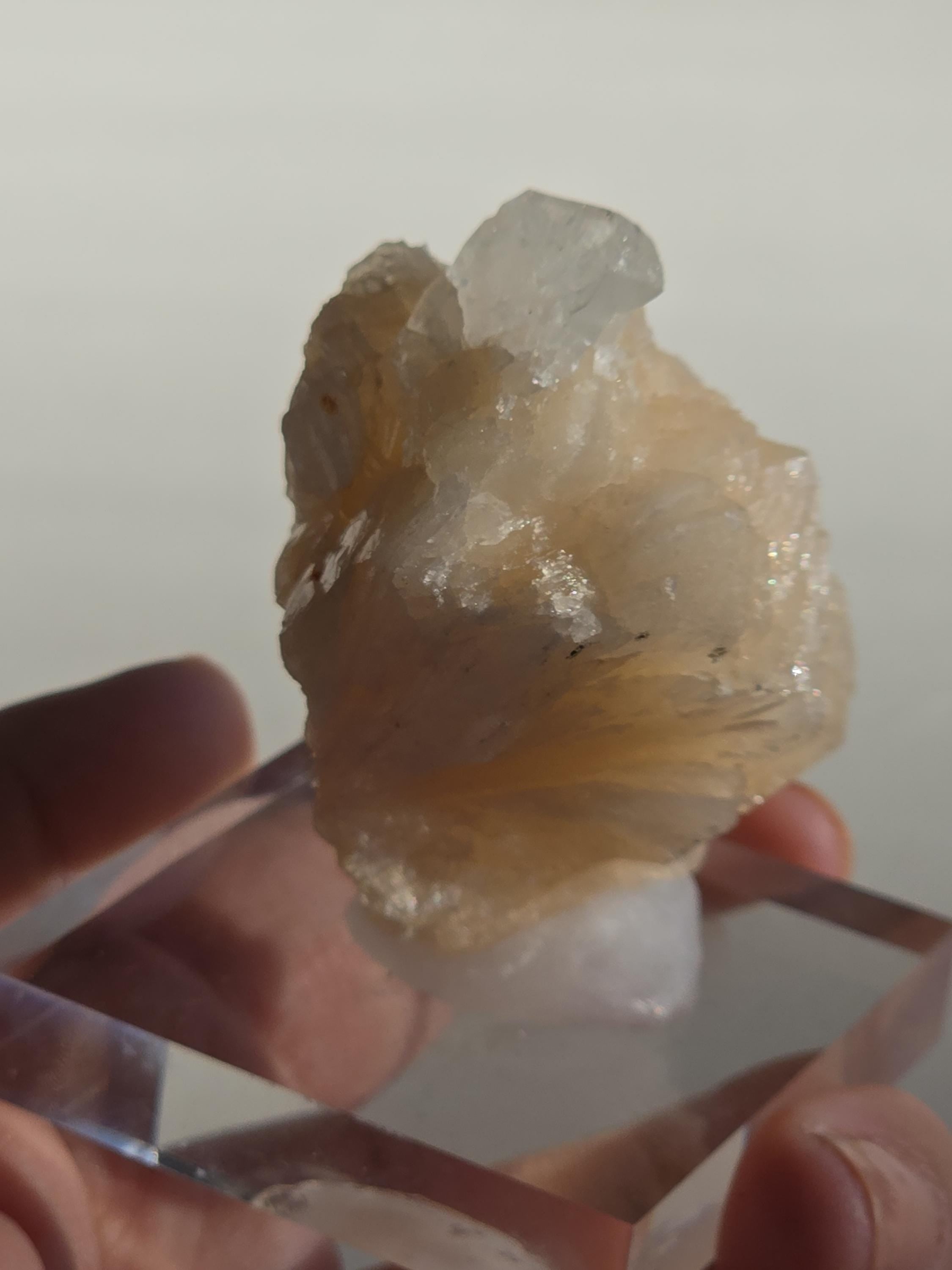 Stilbite Cluster with Apophyllite | Natural Zeolite Crystal Specimen | Collector Mineral Display Decor Gift