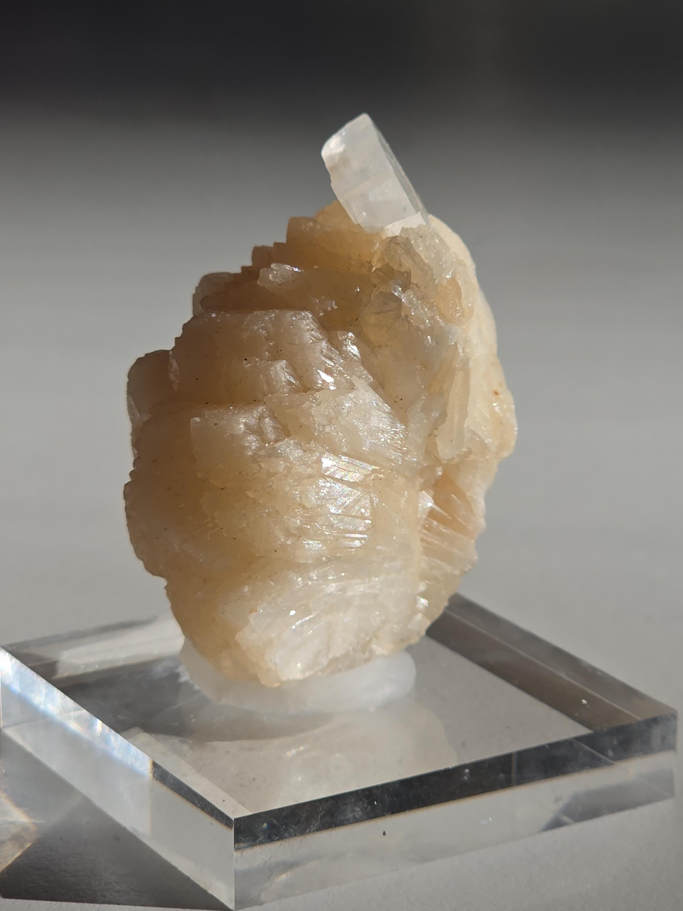 Stilbite Cluster with Apophyllite | Natural Zeolite Crystal Specimen | Collector Mineral Display Decor Gift