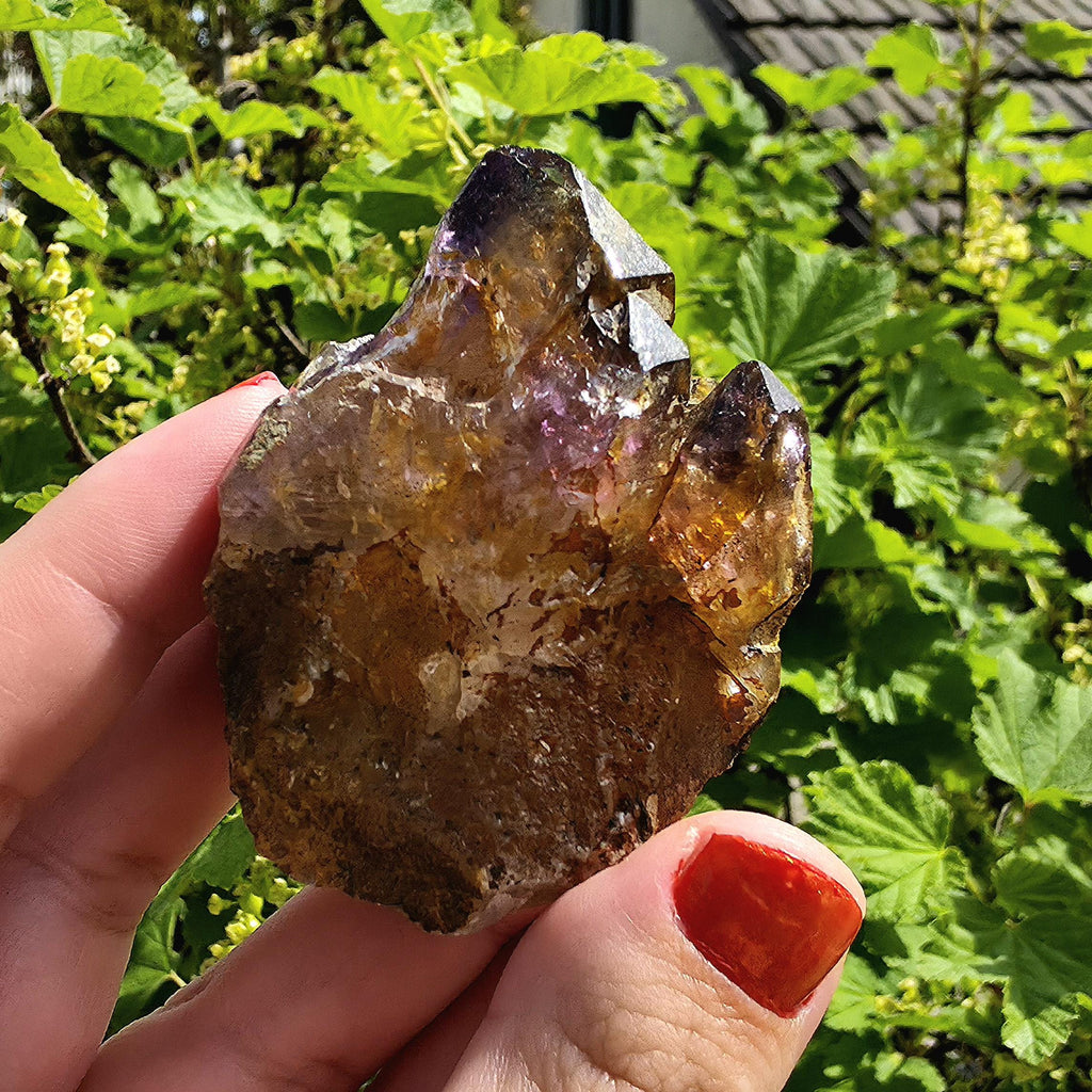 Natural Bolivian Ametrine Specimen | Raw Purple Gold Crystal | Collector Mineral Display Decor
