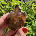 Natural Bolivian Ametrine Specimen | Raw Purple Gold Crystal | Collector Mineral Display Decor