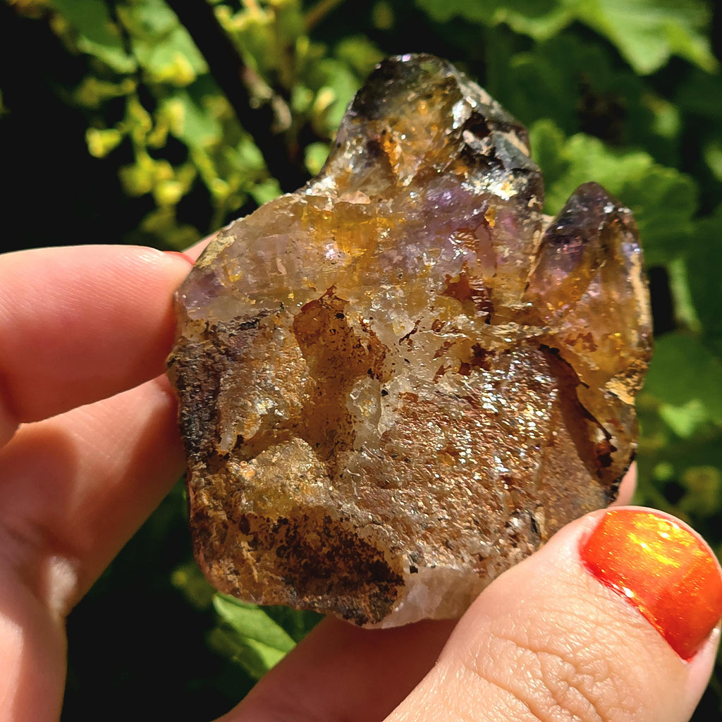 Natural Bolivian Ametrine Specimen | Raw Purple Gold Crystal | Collector Mineral Display Decor