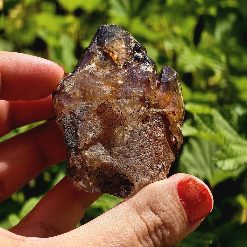 Natural Bolivian Ametrine Specimen | Raw Purple Gold Crystal | Collector Mineral Display Decor