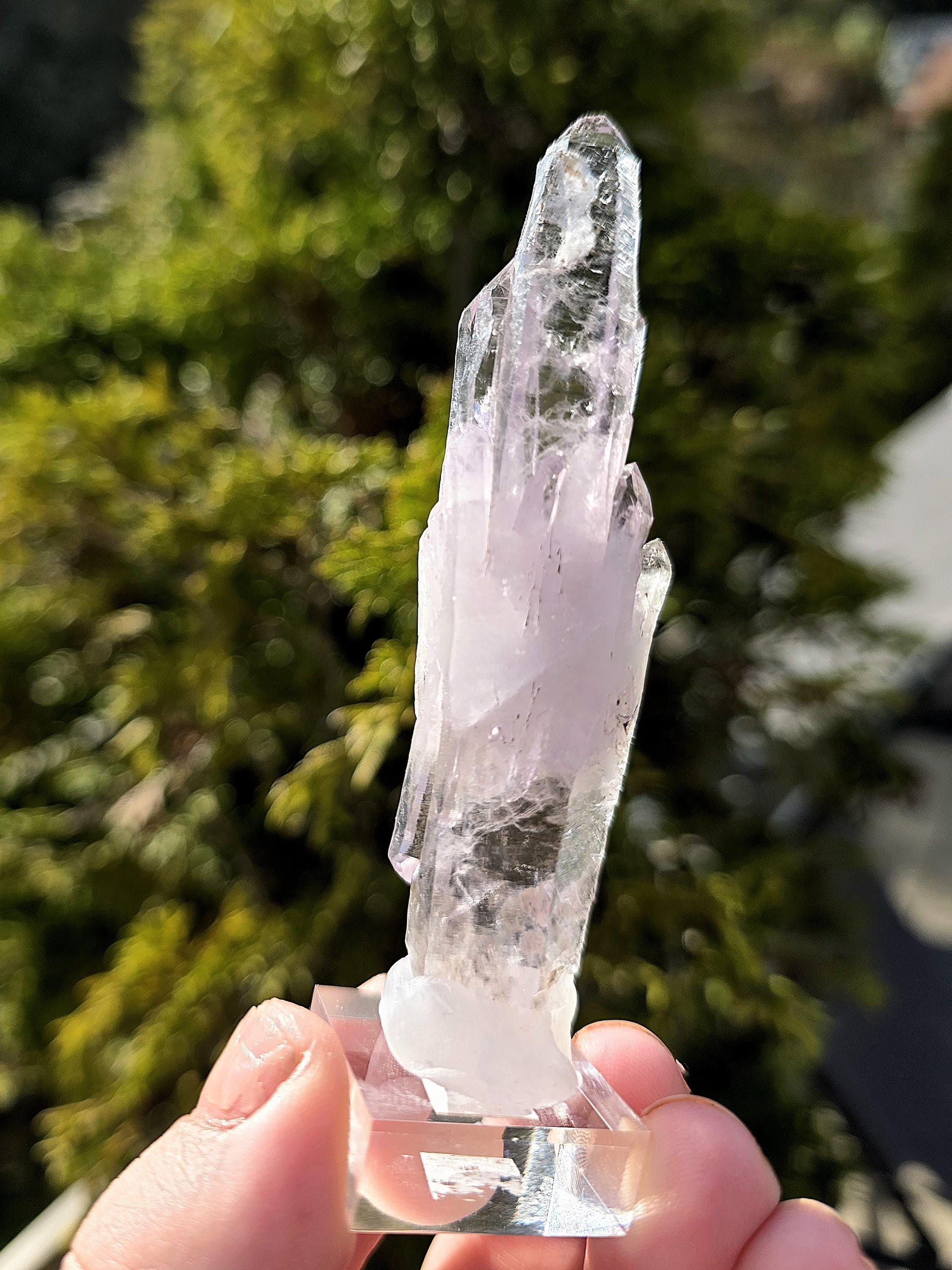 Vera Cruz Amethyst Cluster | Los Vigas Mine Mexico | Elongated Quartz Crystal Specimen Decor