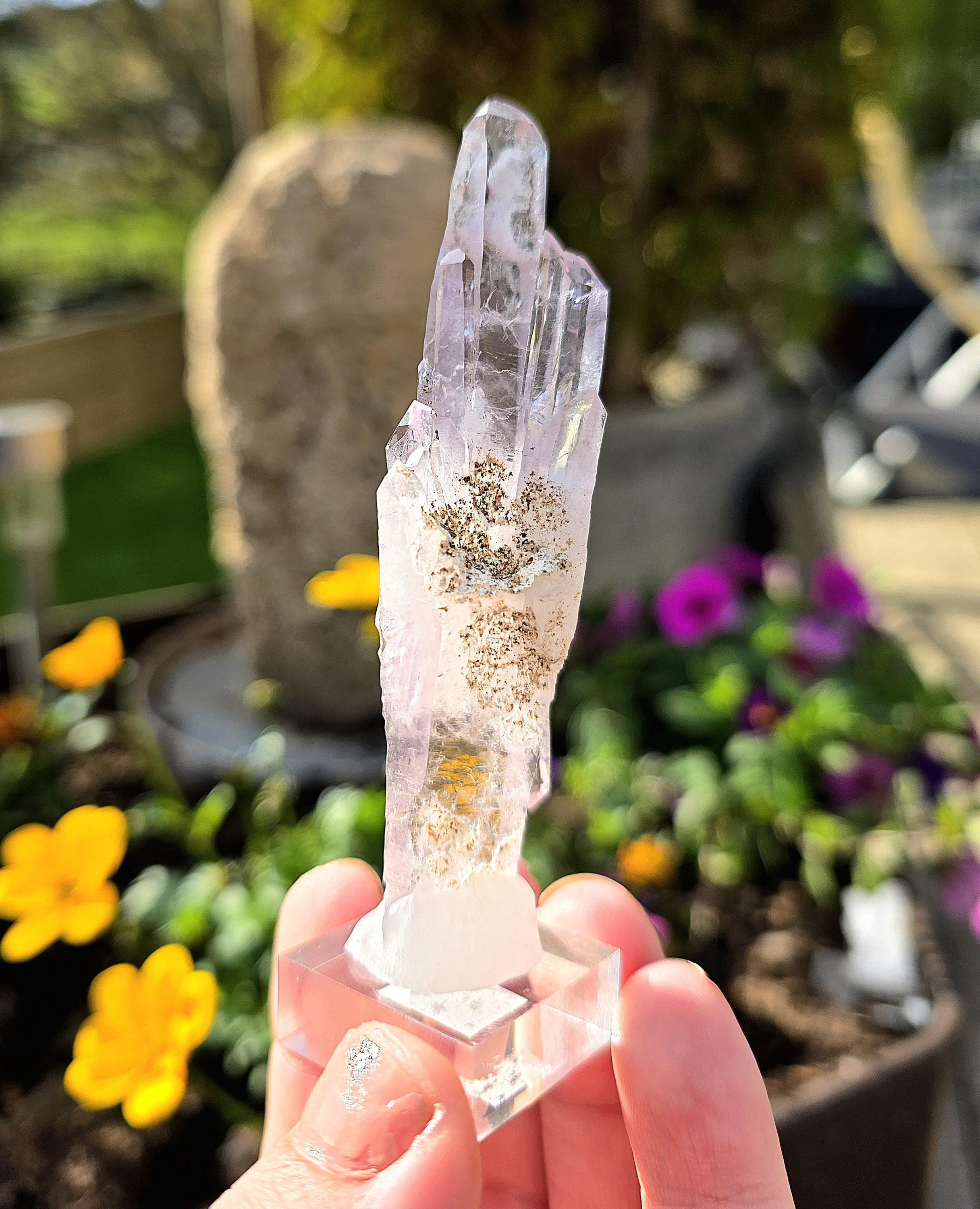 Vera Cruz Amethyst Cluster | Los Vigas Mine Mexico | Elongated Quartz Crystal Specimen Decor