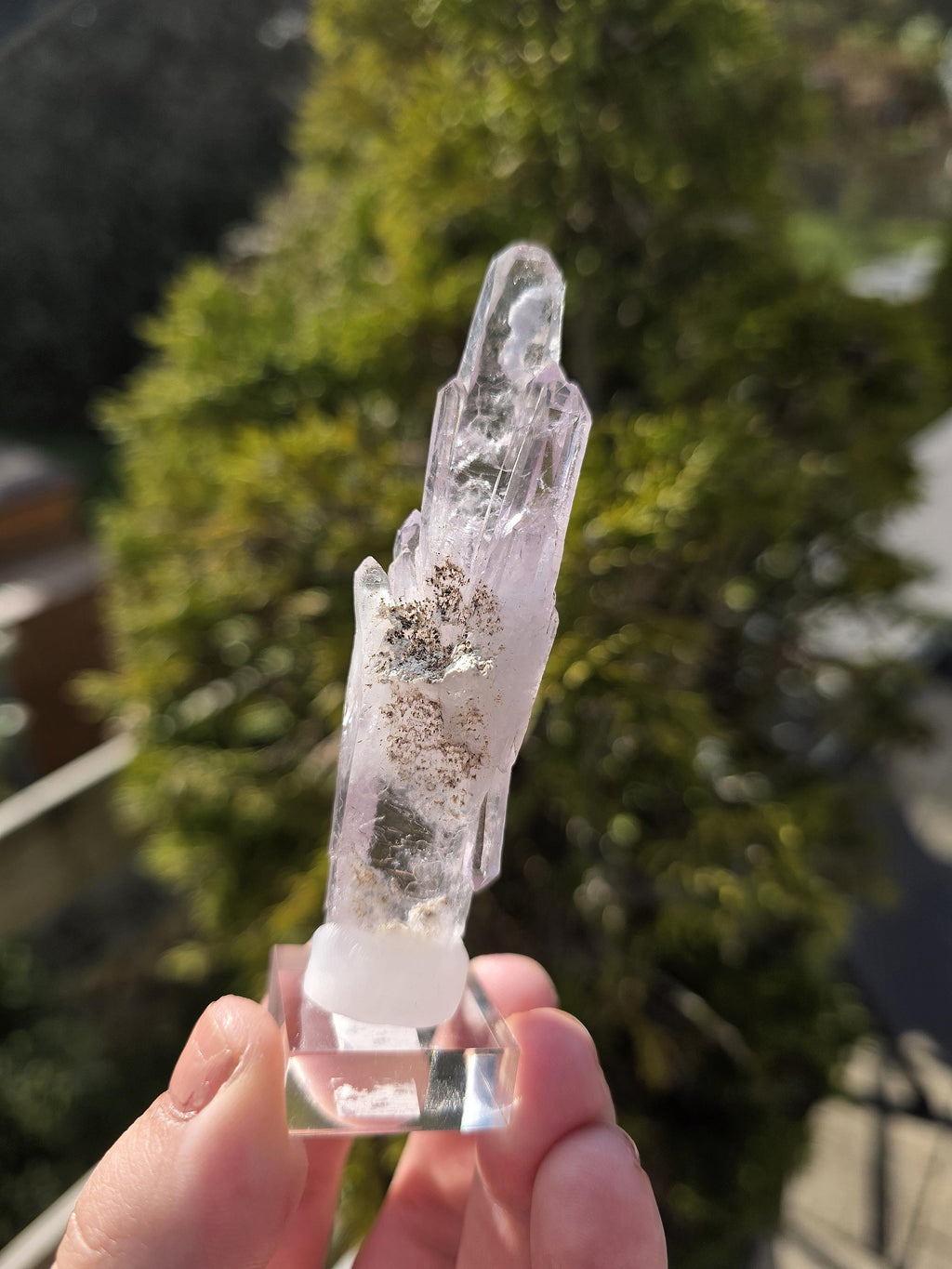 Vera Cruz Amethyst Cluster | Los Vigas Mine Mexico | Elongated Quartz Crystal Specimen Decor