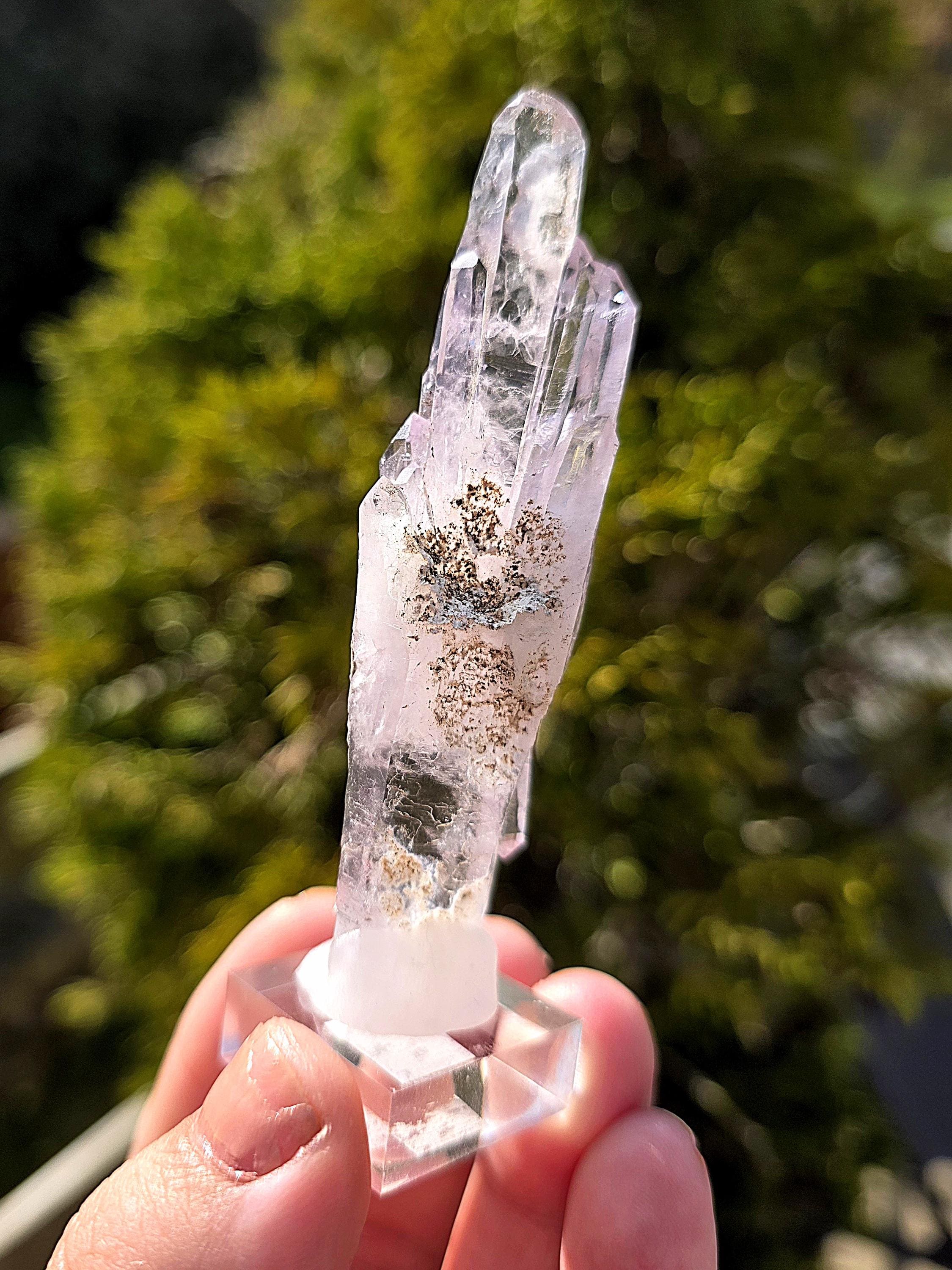 Vera Cruz Amethyst Cluster | Los Vigas Mine Mexico | Elongated Quartz Crystal Specimen Decor