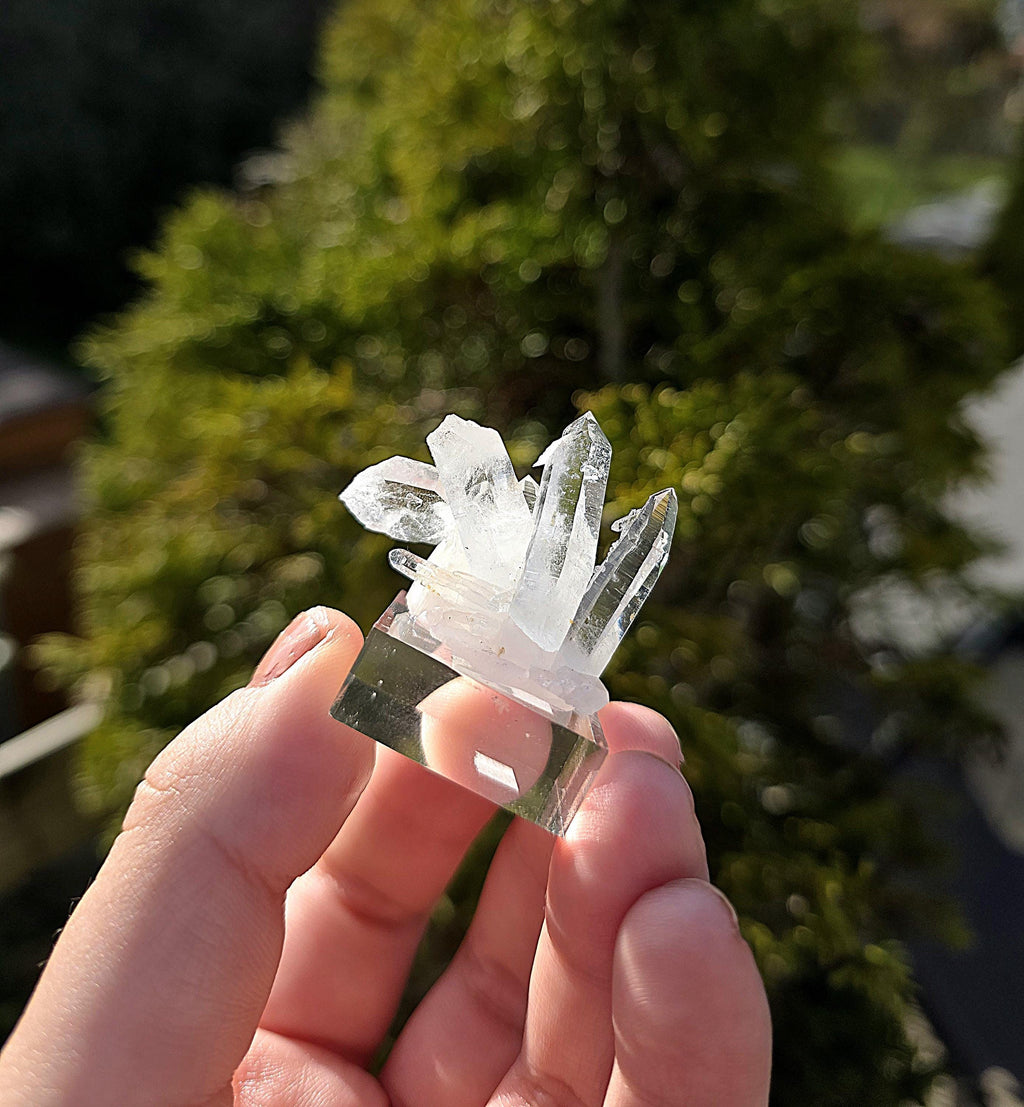 Brazilian Clear Quartz Cluster on Stand | Natural Quartz Crystal Specimen | Collector Display Mineral Decor