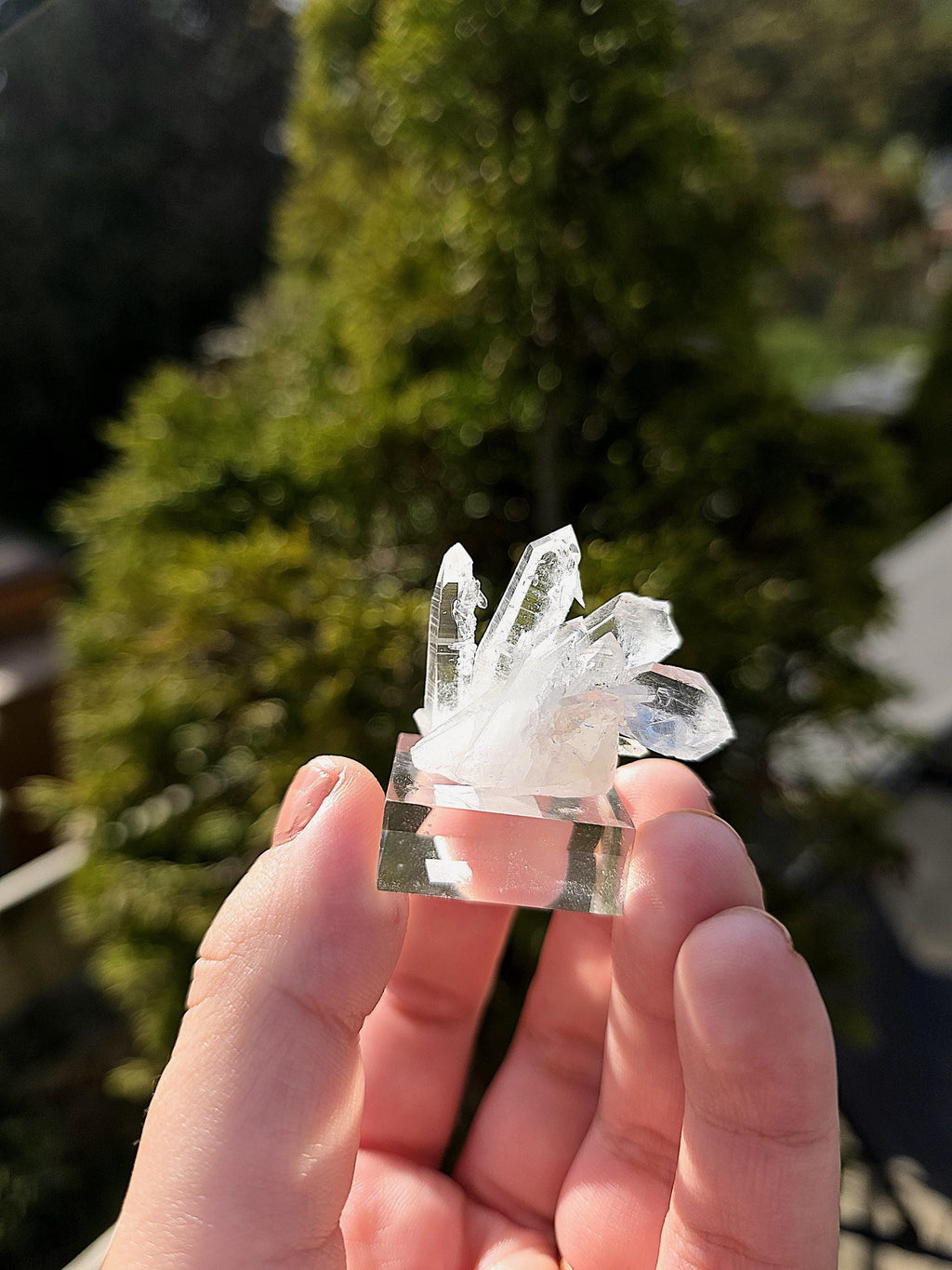 Brazilian Clear Quartz Cluster on Stand | Natural Quartz Crystal Specimen | Collector Display Mineral Decor