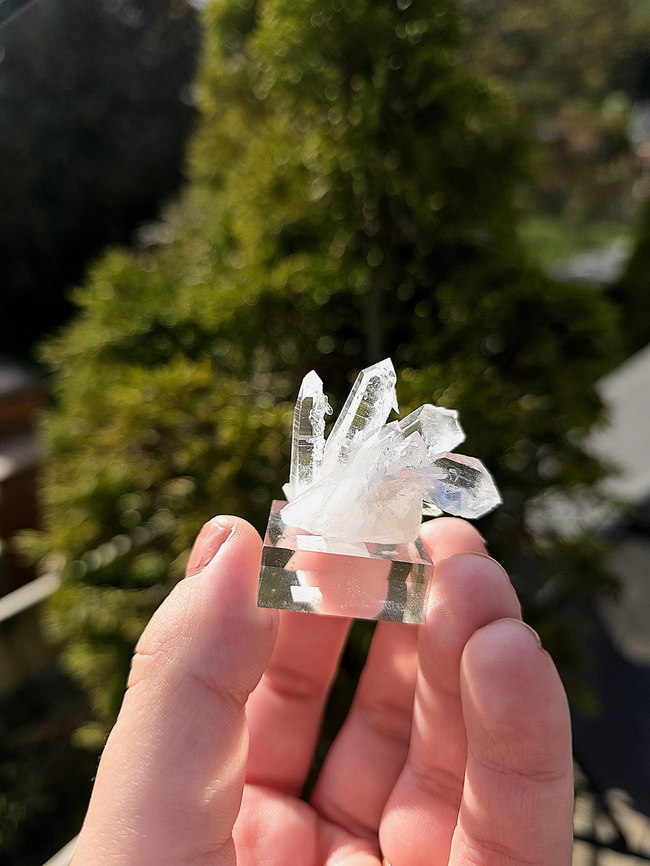 Brazilian Clear Quartz Cluster on Stand | Natural Quartz Crystal Specimen | Collector Display Mineral Decor