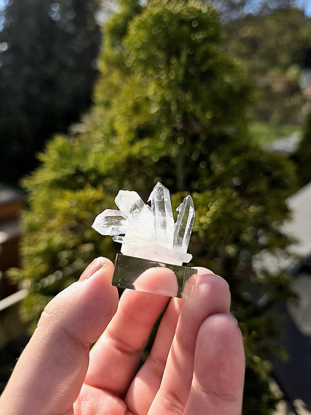 Brazilian Clear Quartz Cluster on Stand | Natural Quartz Crystal Specimen | Collector Display Mineral Decor