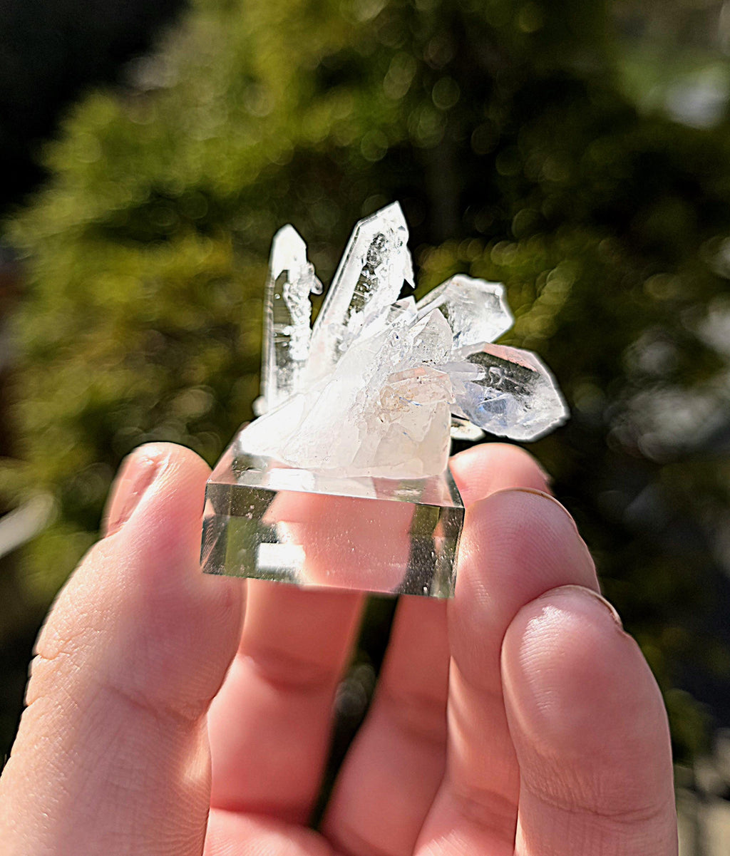 Brazilian Clear Quartz Cluster on Stand | Natural Quartz Crystal Specimen | Collector Display Mineral Decor