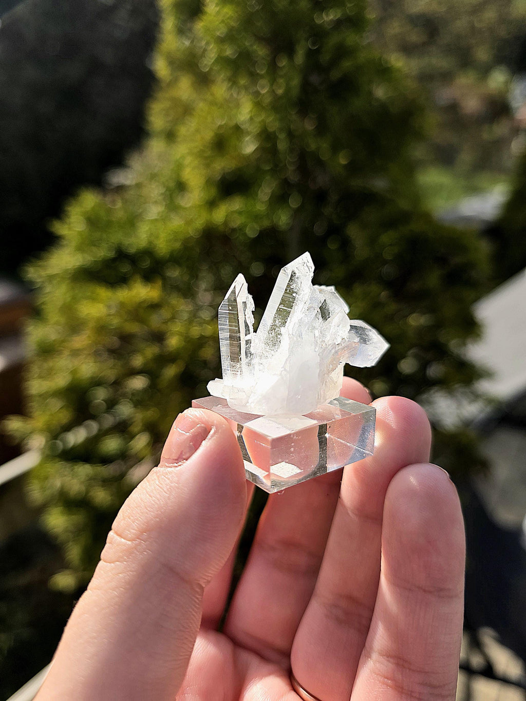 Brazilian Clear Quartz Cluster on Stand | Natural Quartz Crystal Specimen | Collector Display Mineral Decor