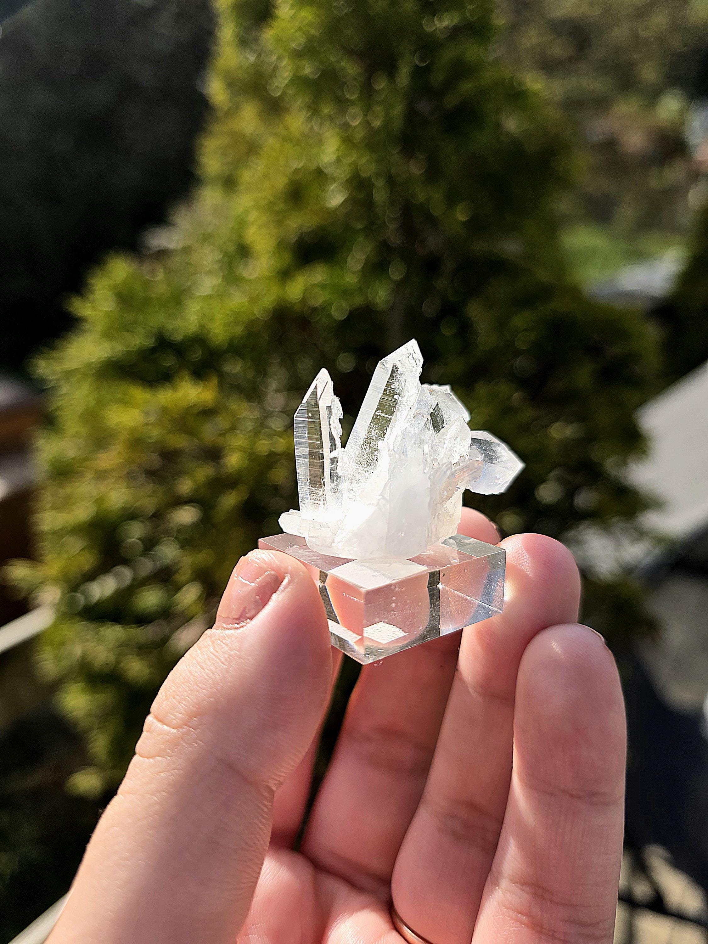 Brazilian Clear Quartz Cluster on Stand | Natural Quartz Crystal Specimen | Collector Display Mineral Decor