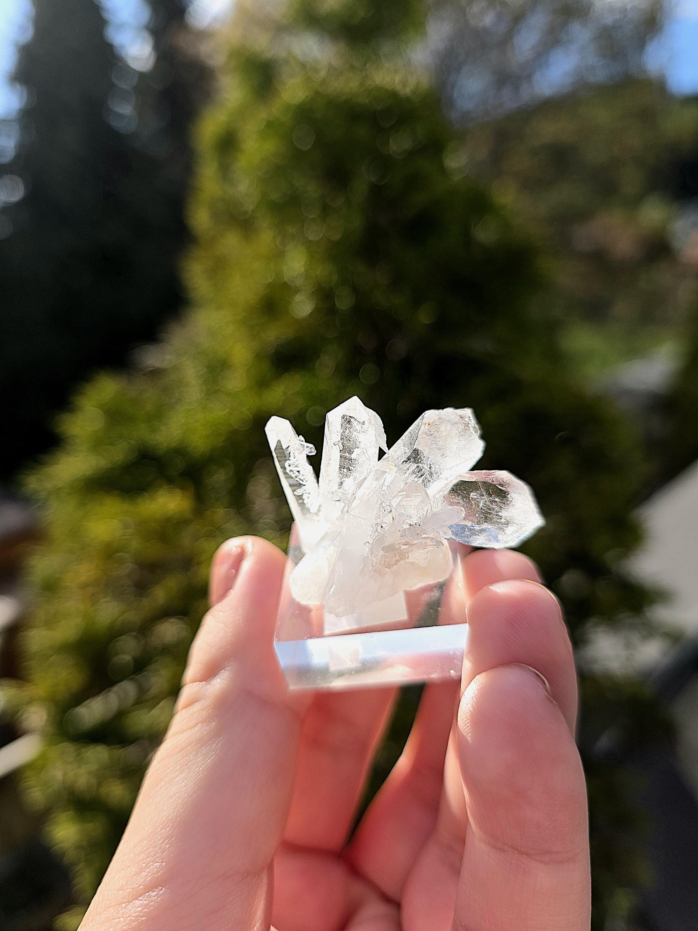 Brazilian Clear Quartz Cluster on Stand | Natural Quartz Crystal Specimen | Collector Display Mineral Decor