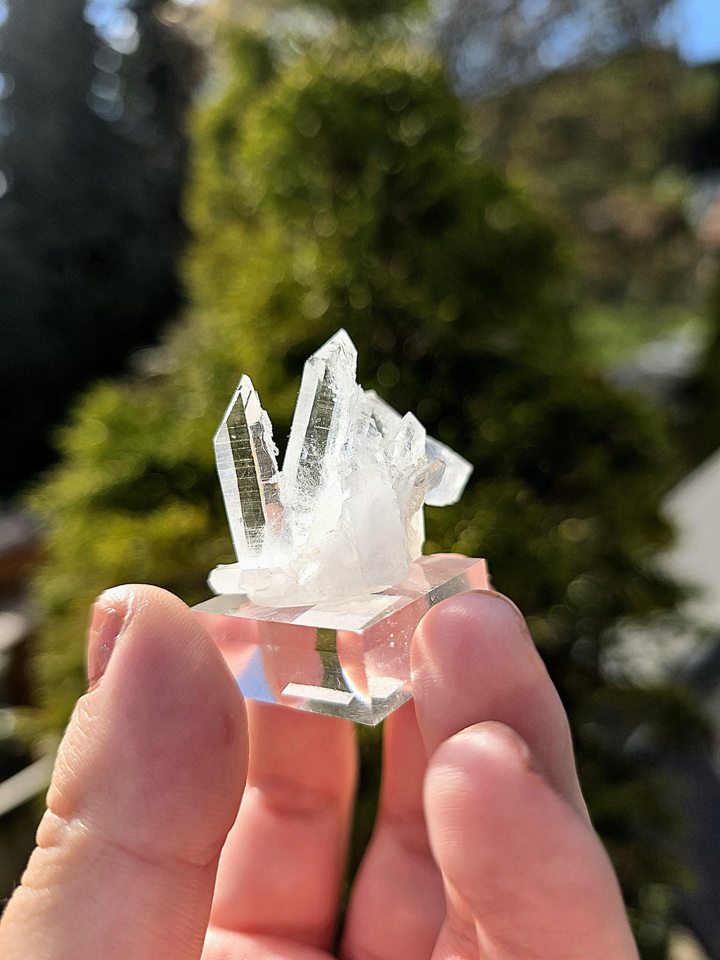 Brazilian Clear Quartz Cluster on Stand | Natural Quartz Crystal Specimen | Collector Display Mineral Decor