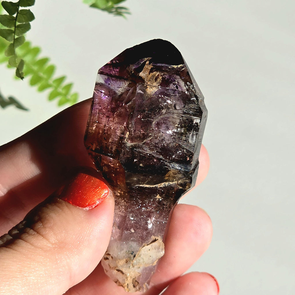 Natural Amethyst Scepter Crystal | Unique Quartz Growth Formation | Collector Mineral Specimen