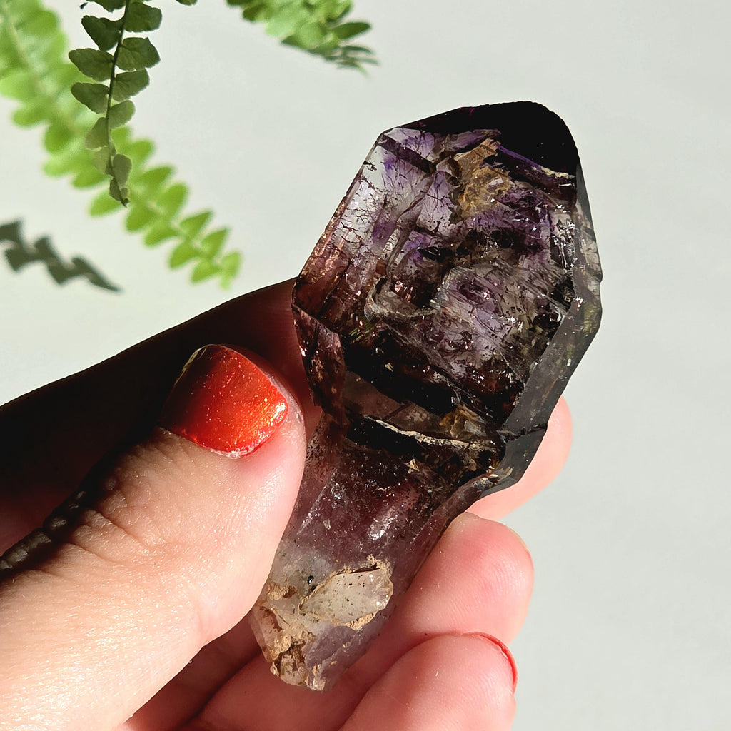 Natural Amethyst Scepter Crystal | Unique Quartz Growth Formation | Collector Mineral Specimen