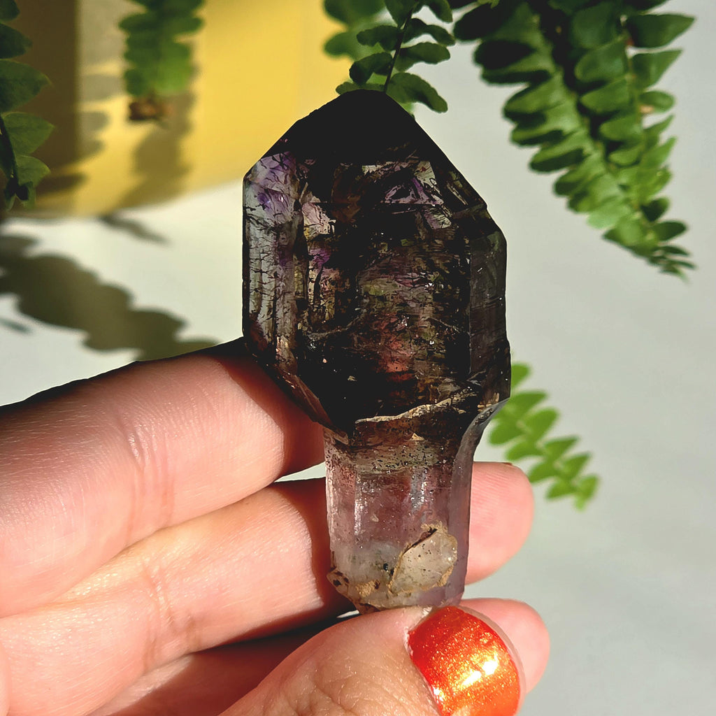 Natural Amethyst Scepter Crystal | Unique Quartz Growth Formation | Collector Mineral Specimen