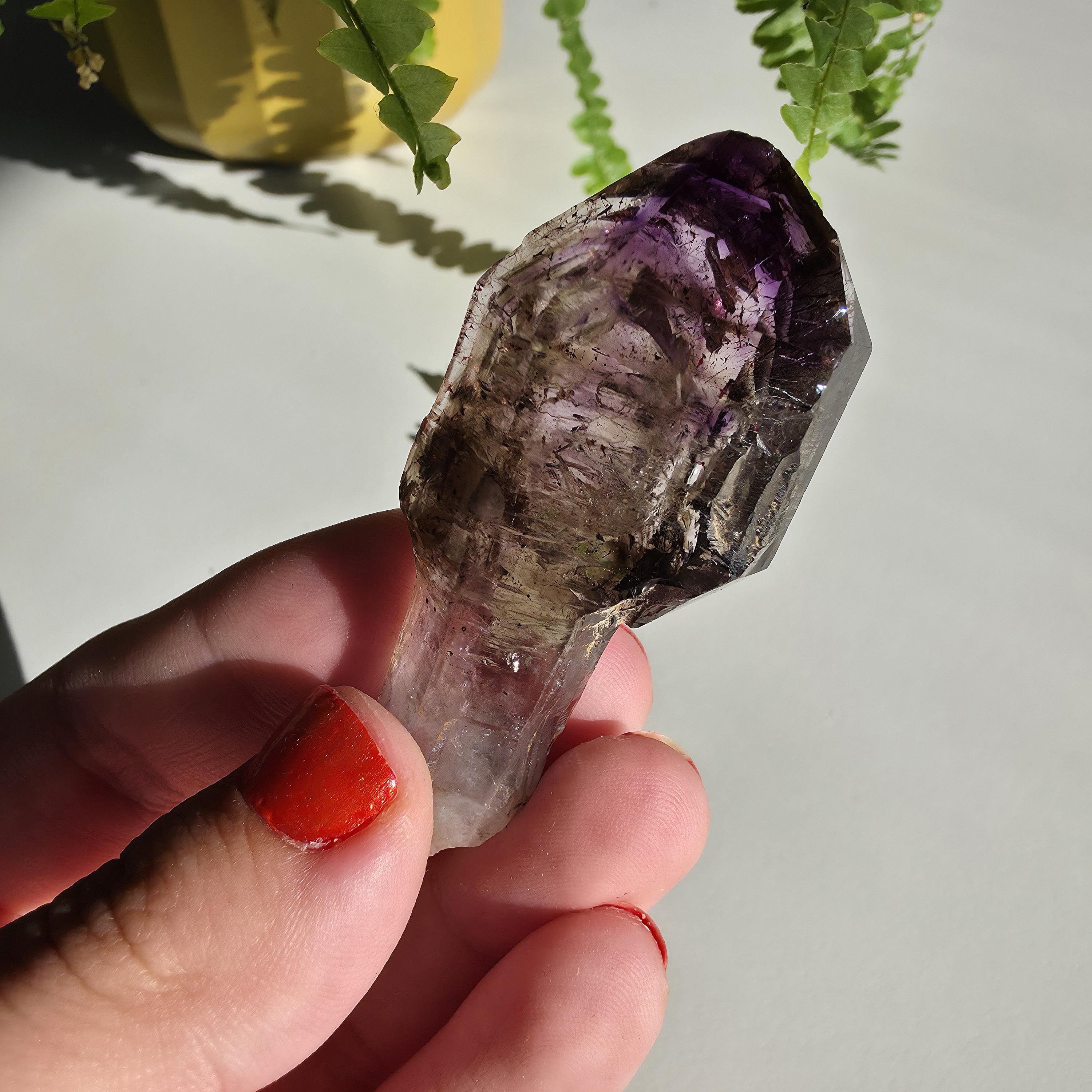 Natural Amethyst Scepter Crystal | Unique Quartz Growth Formation | Collector Mineral Specimen