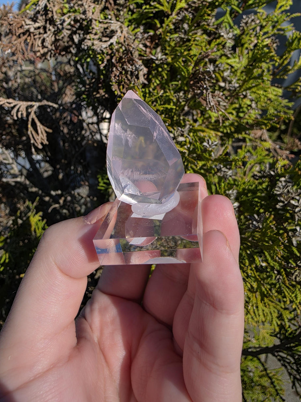 Mozambique Rose Quartz Freeform | Gem Quality Pink Quartz | Polished Crystal Decor