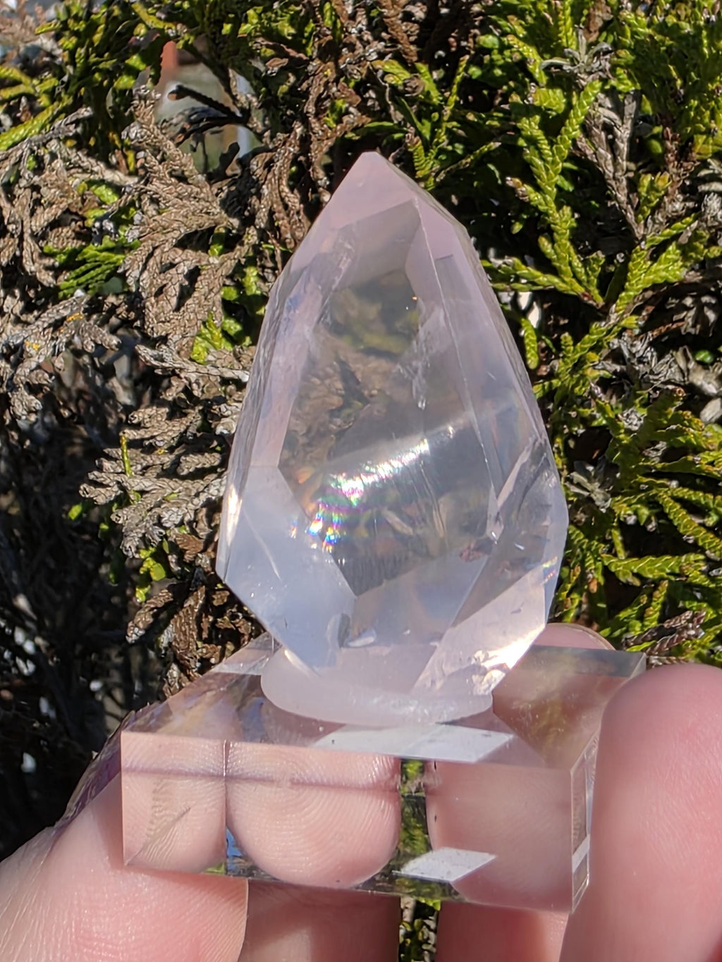Mozambique Rose Quartz Freeform | Gem Quality Pink Quartz | Polished Crystal Decor
