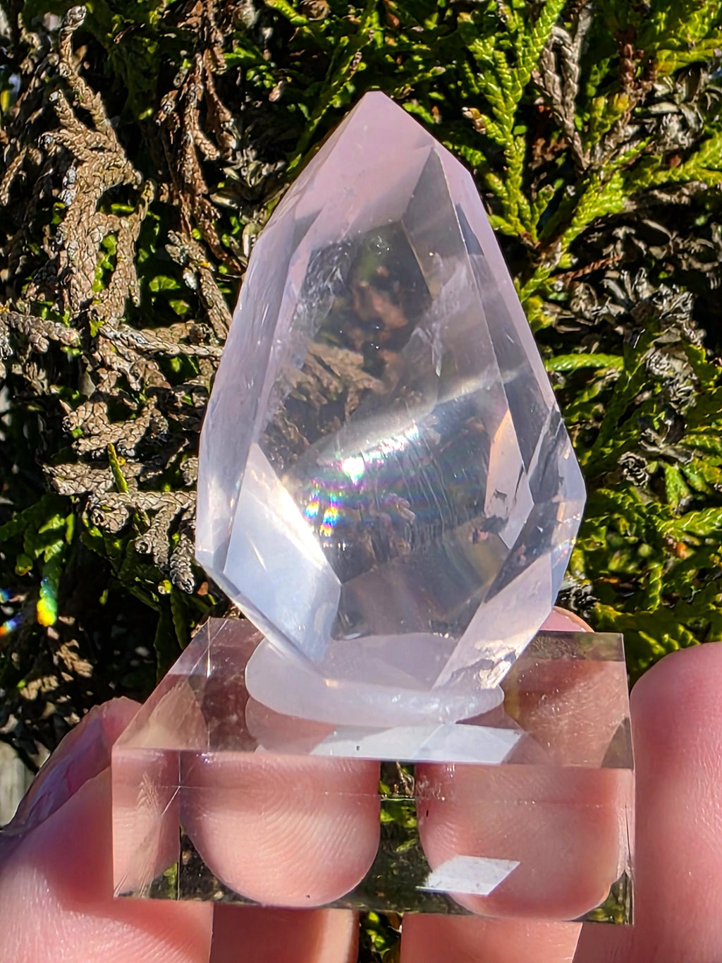 Mozambique Rose Quartz Freeform | Gem Quality Pink Quartz | Polished Crystal Decor