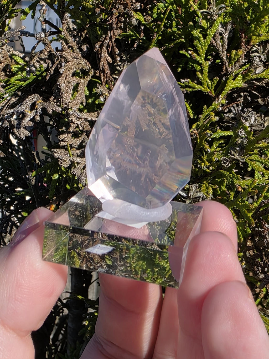 Mozambique Rose Quartz Freeform | Gem Quality Pink Quartz | Polished Crystal Decor