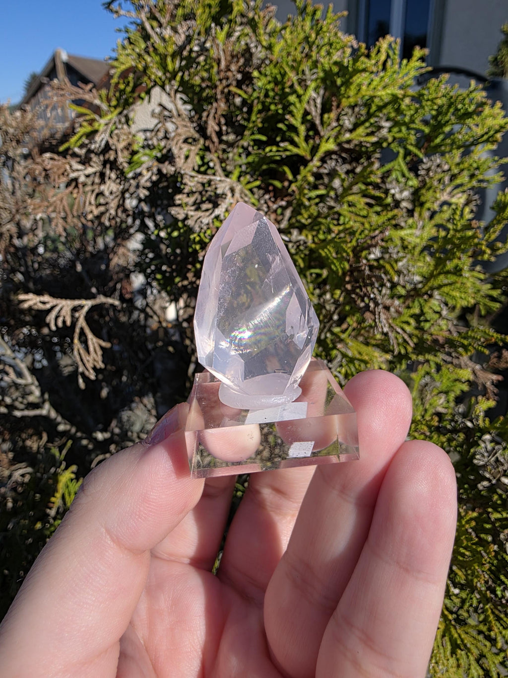 Mozambique Rose Quartz Freeform | Gem Quality Pink Quartz | Polished Crystal Decor