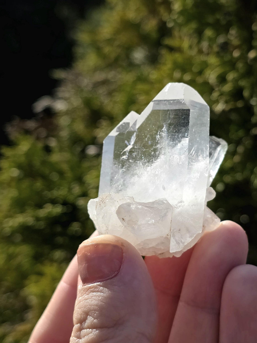 Himalayan Clear Quartz Cluster, Flat Face Quartz Point, Natural Quartz Crystal, Collector Mineral Specimen, Raw Quartz Decor