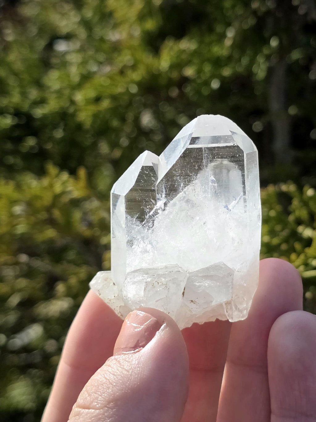 Himalayan Clear Quartz Cluster, Flat Face Quartz Point, Natural Quartz Crystal, Collector Mineral Specimen, Raw Quartz Decor