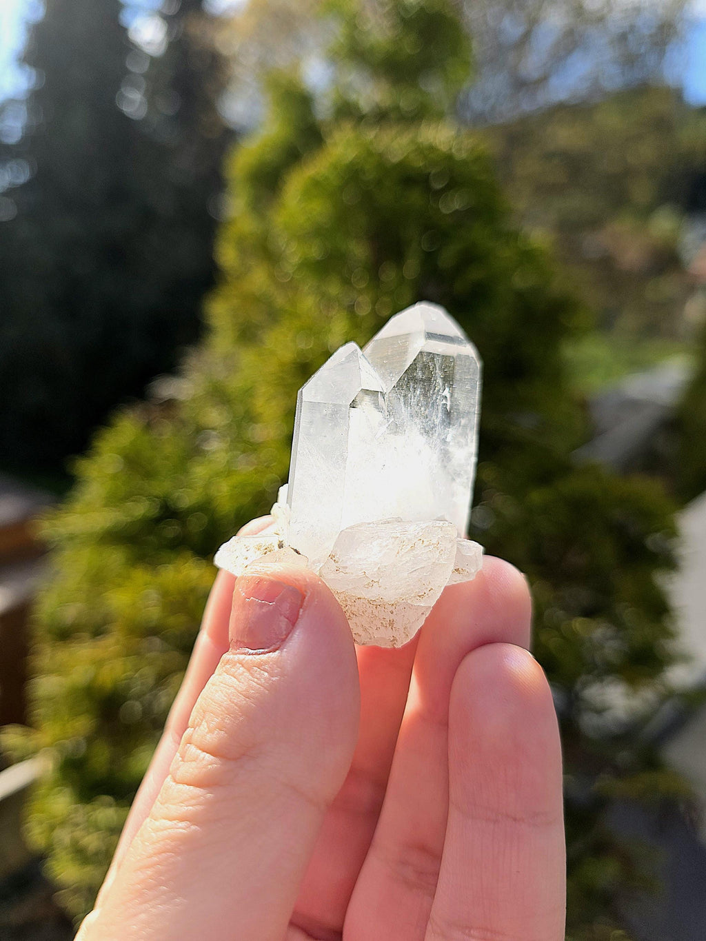 Himalayan Clear Quartz Cluster, Flat Face Quartz Point, Natural Quartz Crystal, Collector Mineral Specimen, Raw Quartz Decor