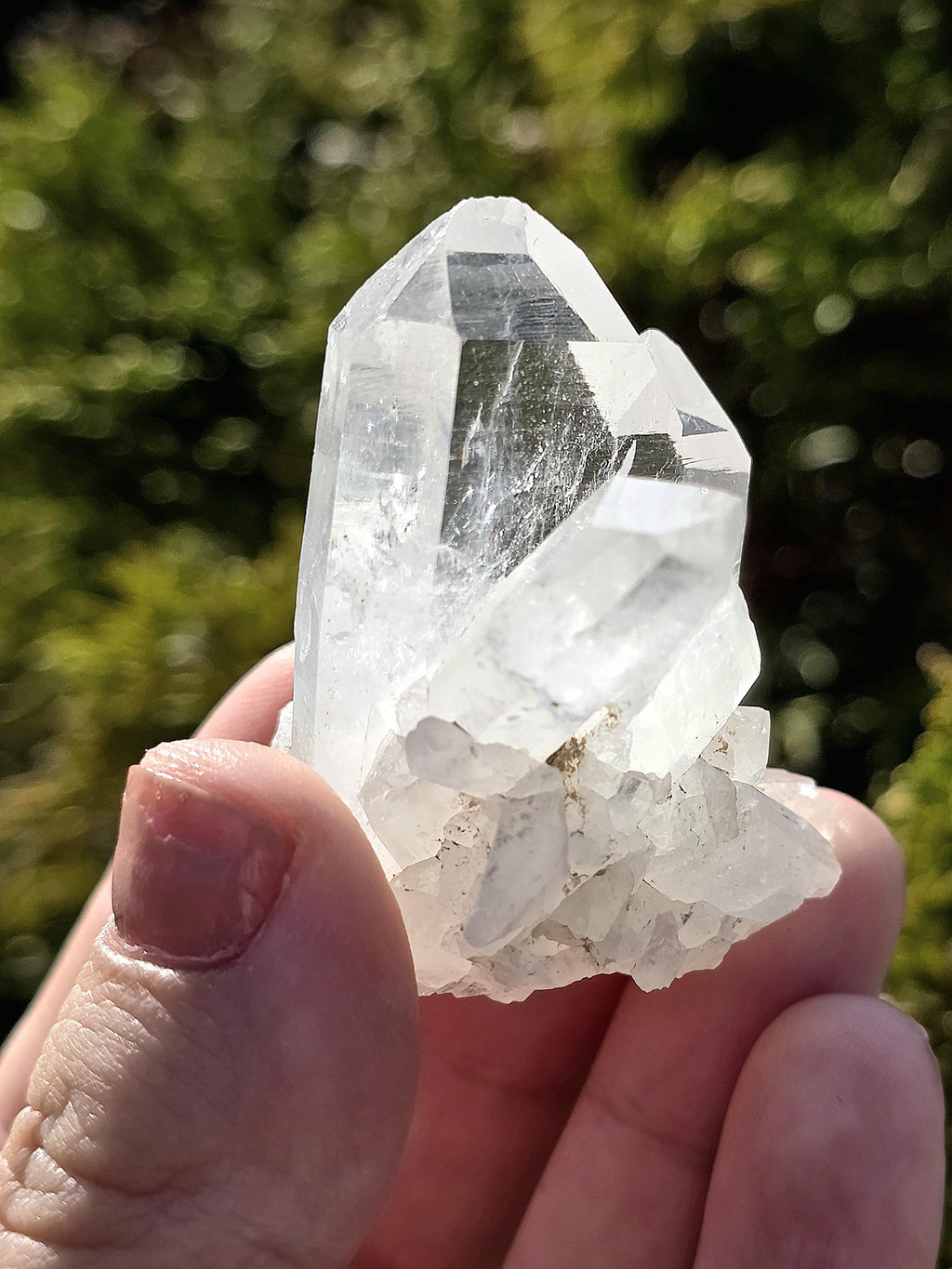 Himalayan Clear Quartz Cluster, Flat Face Quartz Point, Natural Quartz Crystal, Collector Mineral Specimen, Raw Quartz Decor