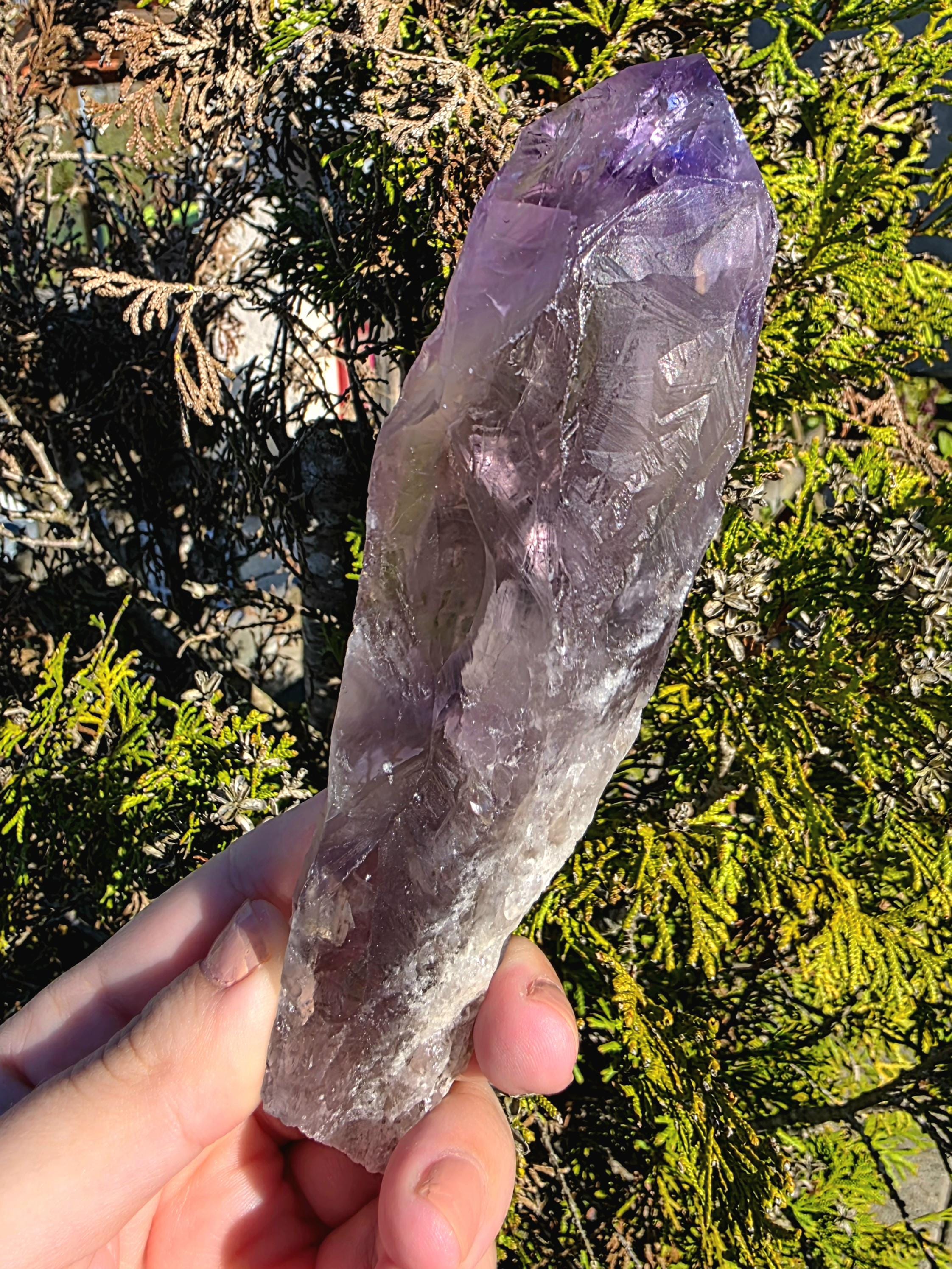Bahia Amethyst Root Dragon Tooth | Raw Amethyst Point | Purple Quartz Crystal Specimen