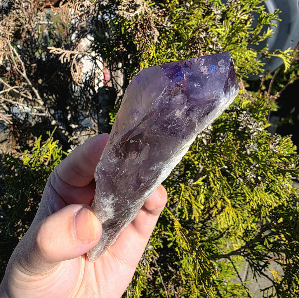 Bahia Amethyst Root Dragon Tooth | Raw Amethyst Point | Purple Quartz Crystal Specimen