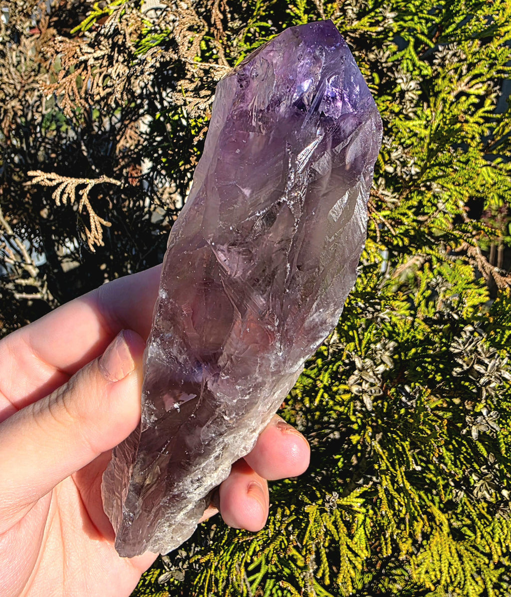 Bahia Amethyst Root Dragon Tooth | Raw Amethyst Point | Purple Quartz Crystal Specimen