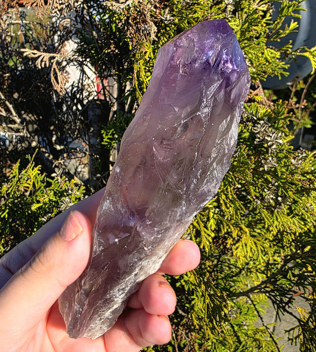 Bahia Amethyst Root Dragon Tooth | Raw Amethyst Point | Purple Quartz Crystal Specimen