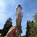 Bahia Amethyst Root Dragon Tooth | Raw Amethyst Point | Purple Quartz Crystal Specimen