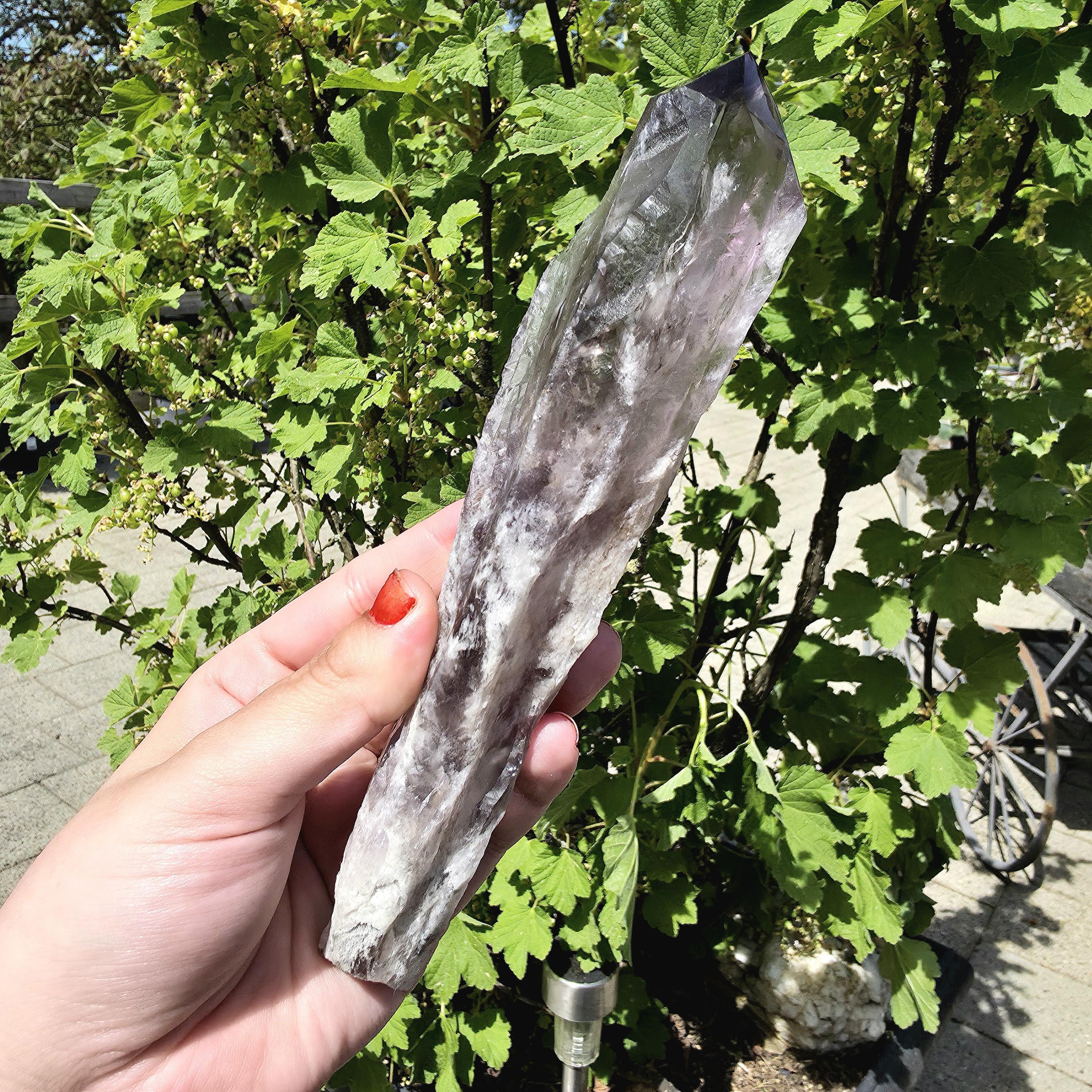 Bahia Amethyst Root Dragon Tooth | Raw Amethyst Point | Purple Quartz Crystal Specimen