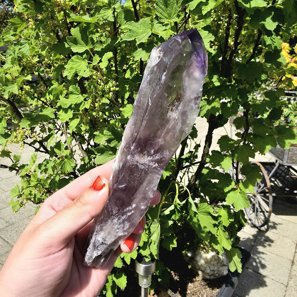Bahia Amethyst Root Dragon Tooth | Raw Amethyst Point | Purple Quartz Crystal Specimen