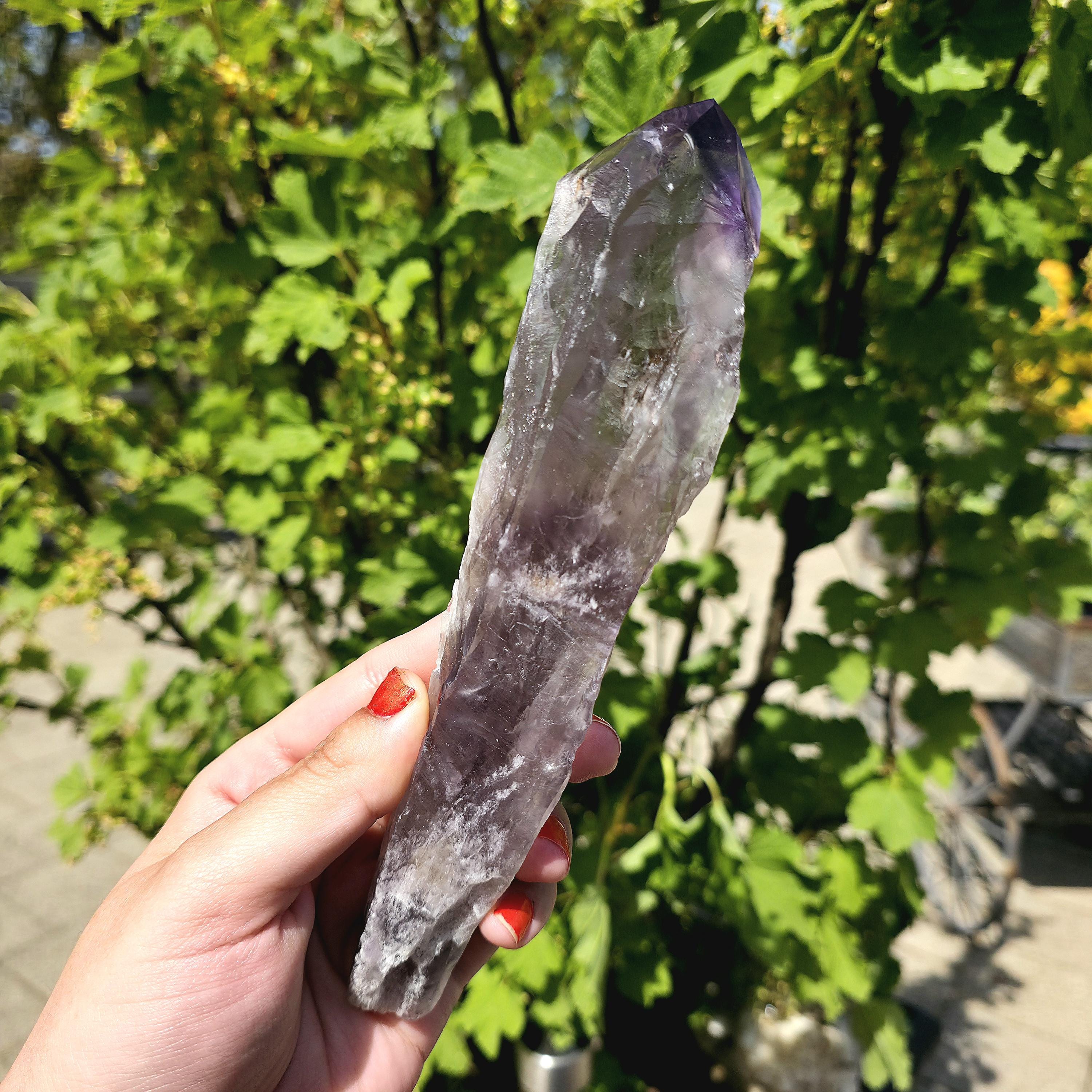 Bahia Amethyst Root Dragon Tooth | Raw Amethyst Point | Purple Quartz Crystal Specimen