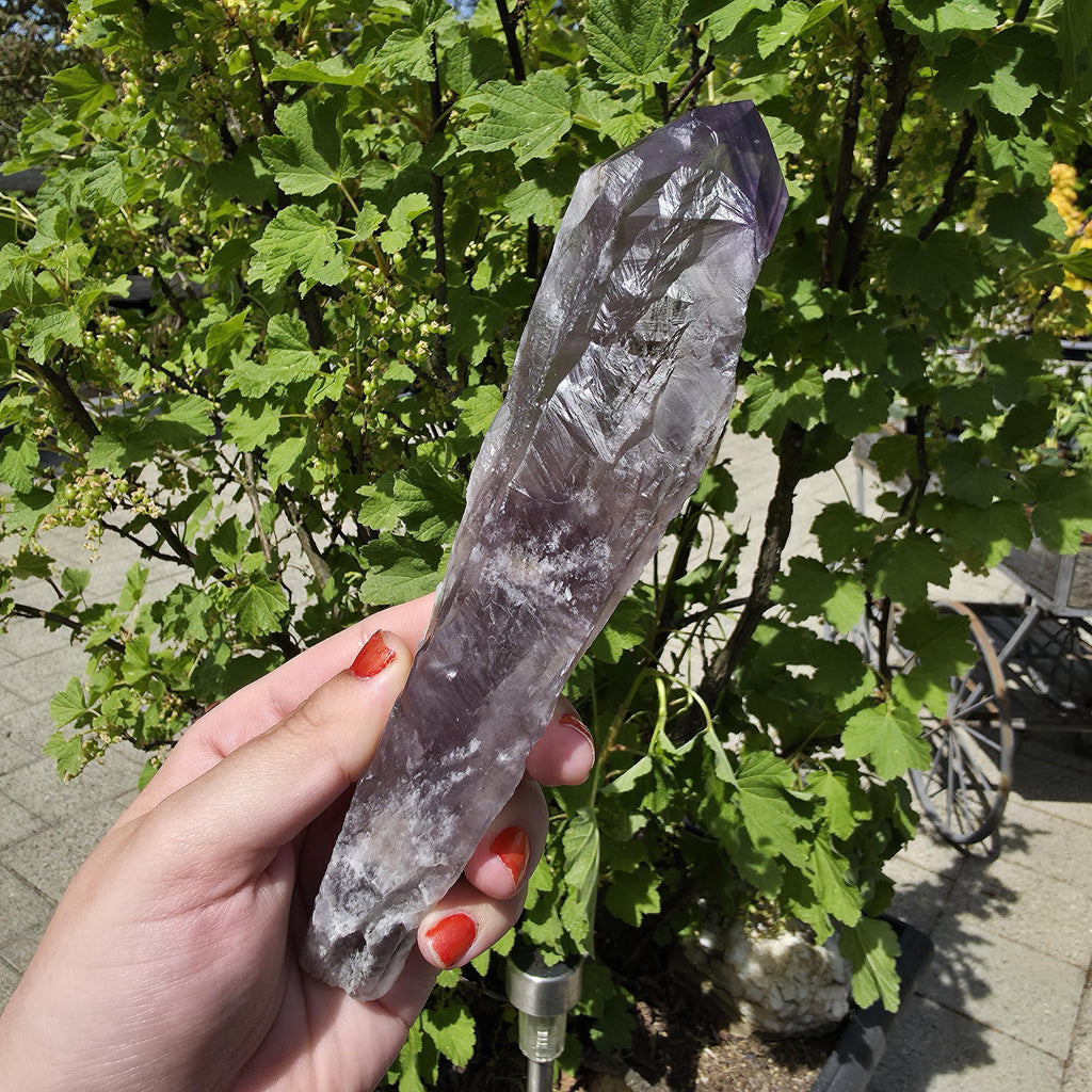 Bahia Amethyst Root Dragon Tooth | Raw Amethyst Point | Purple Quartz Crystal Specimen