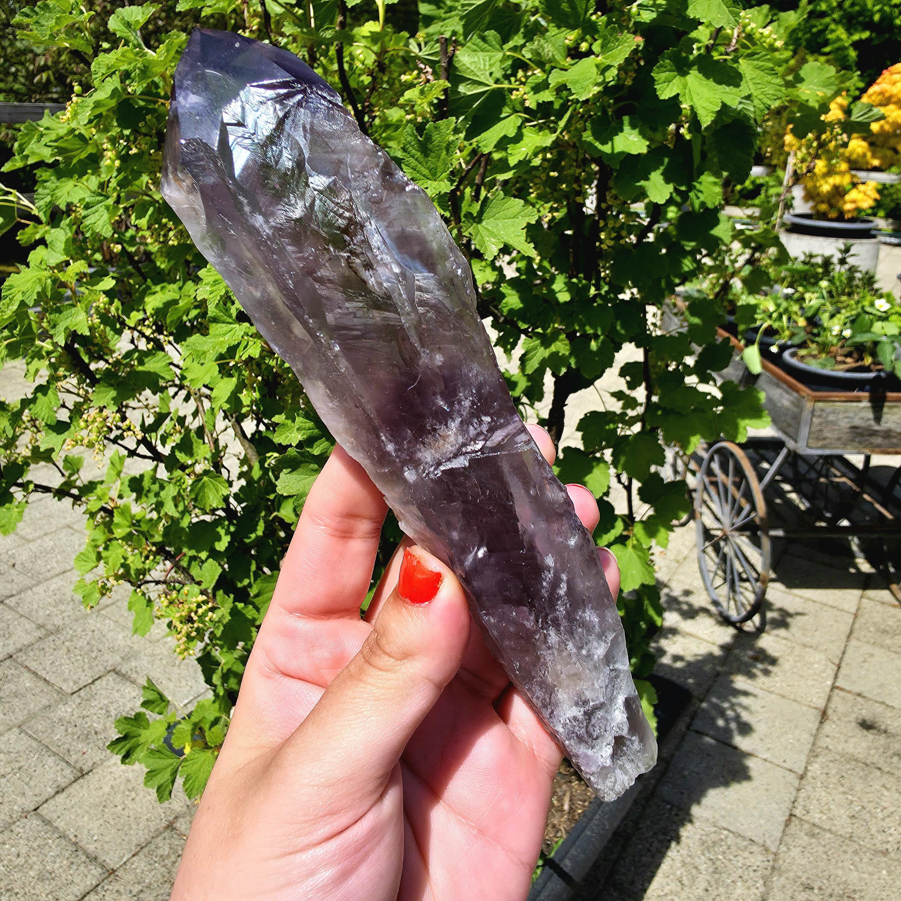 Bahia Amethyst Root Dragon Tooth | Raw Amethyst Point | Purple Quartz Crystal Specimen