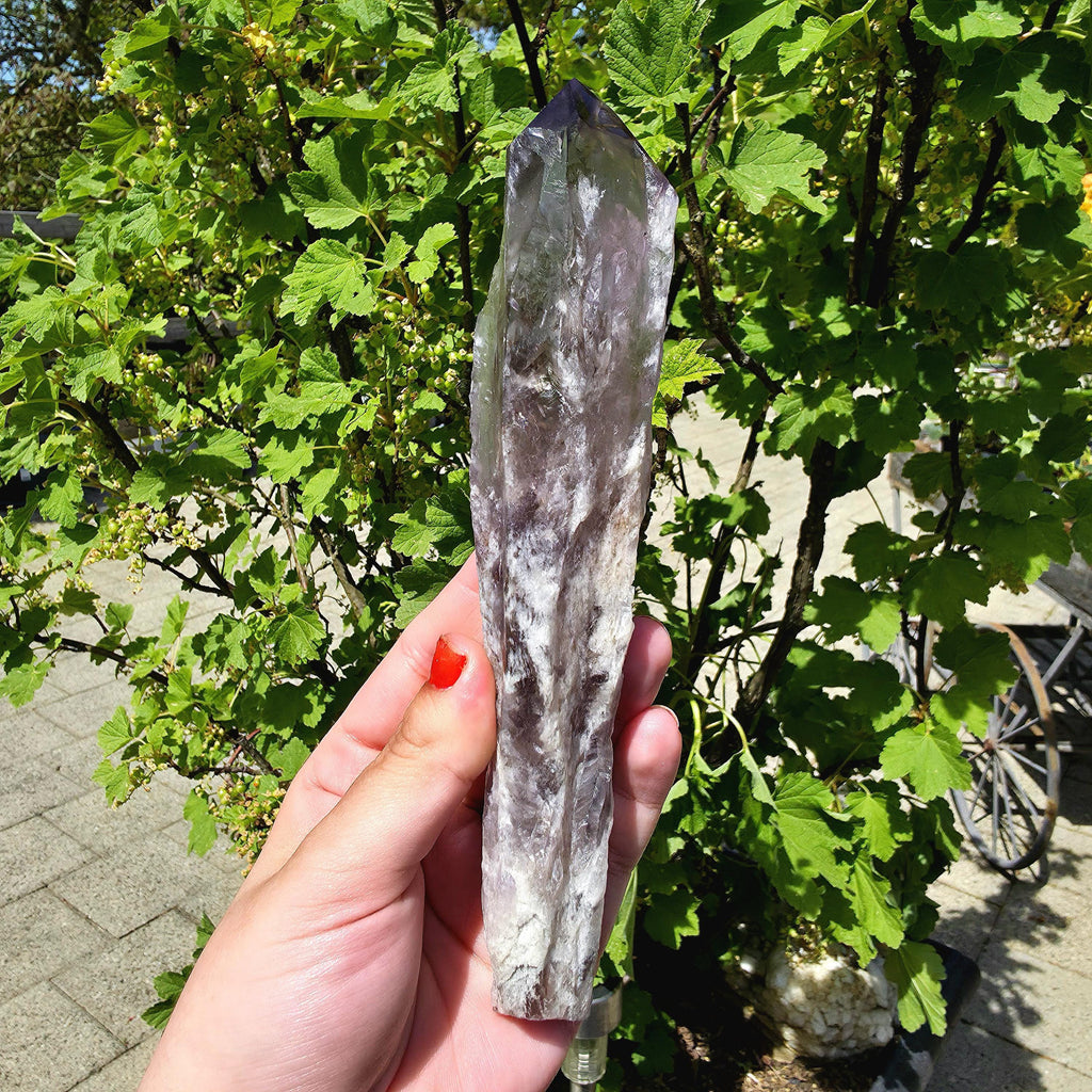 Bahia Amethyst Root Dragon Tooth | Raw Amethyst Point | Purple Quartz Crystal Specimen